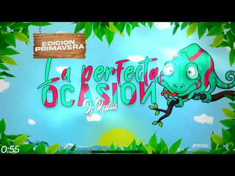 La Perfecta Ocasion Gocho Remix - Dj Bambam