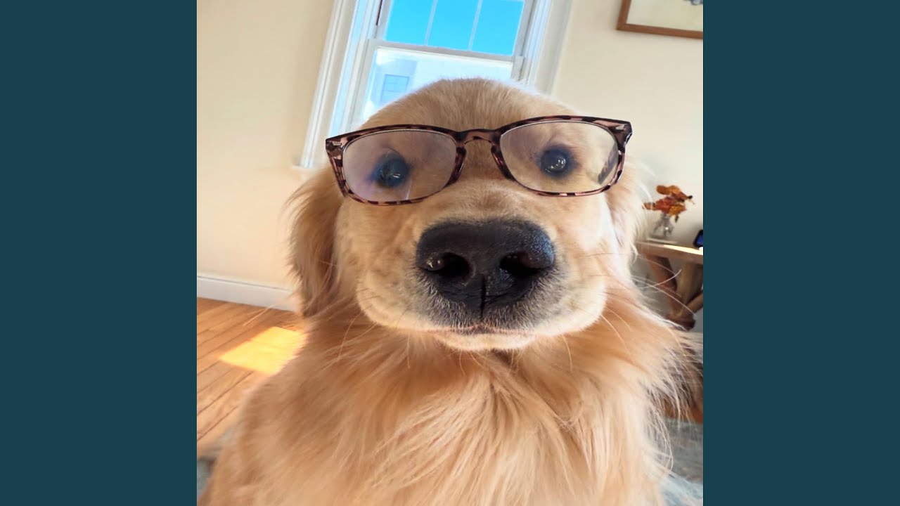 All you do is cry and deny