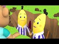 Rescue Adventure Day Bananas In Pyjamas Season 1 Full Episodes Bananas In Pyjamas