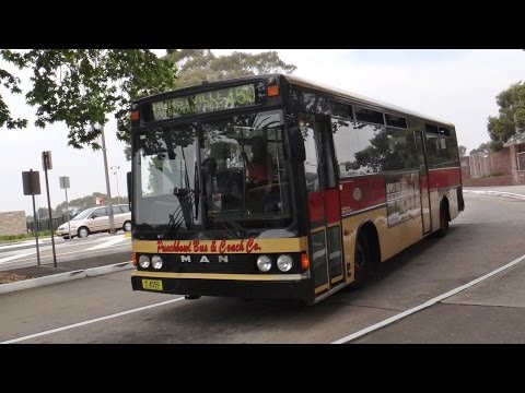 Punchbowl Bus Co. M/O 4559 - MAN 14.230 (ZF/PMCA Commuter)