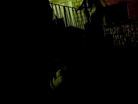 Picciuca in concerto