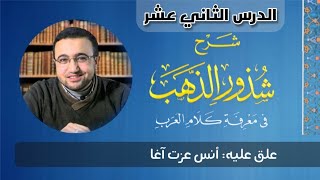 صورة الدرس الثاني عشر من شرح شذور الذهب - أنس عزت آغا