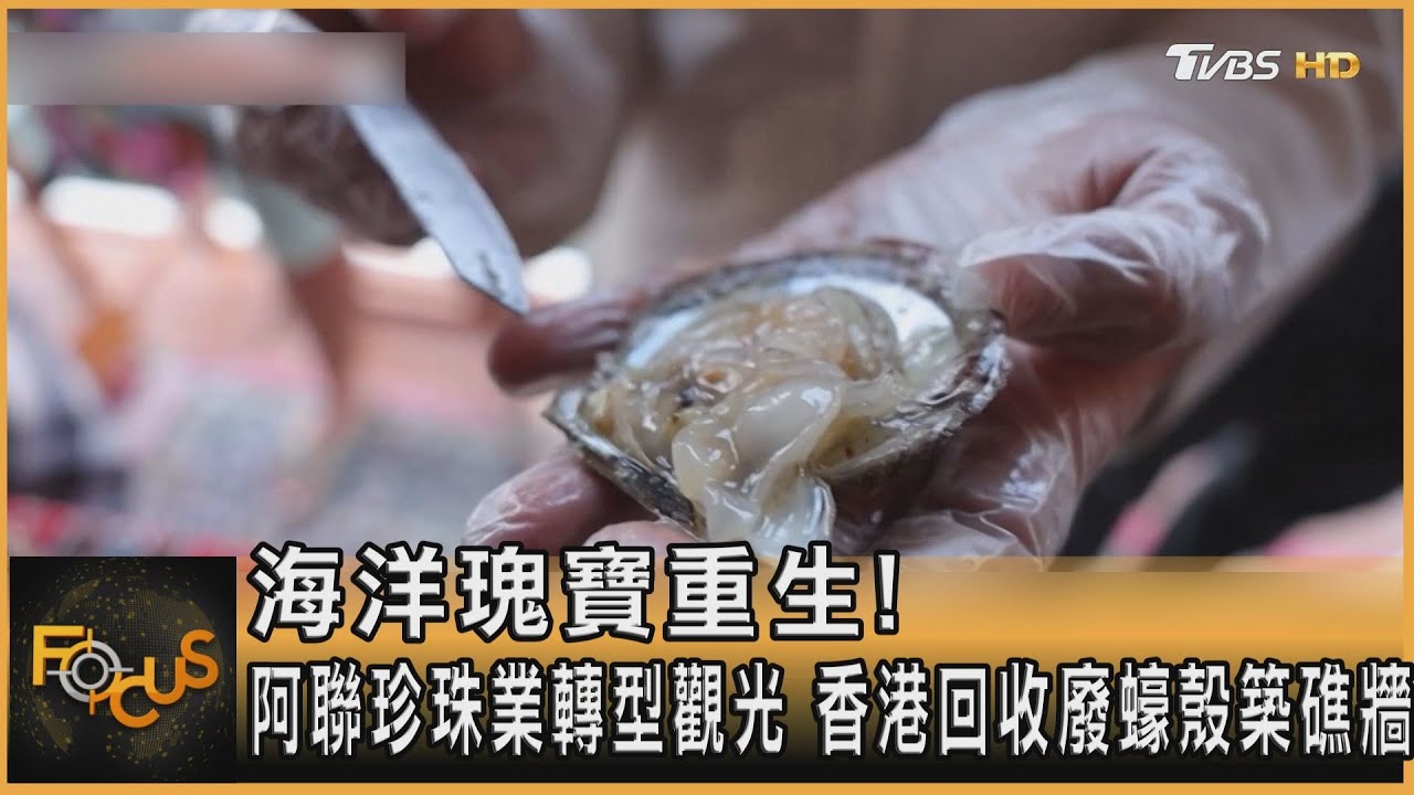 海洋瑰寶重生！阿聯珍珠業轉型觀光　香港回收廢蠔殼築礁牆