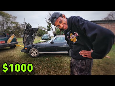 شريت ارخص زد بامريكا !