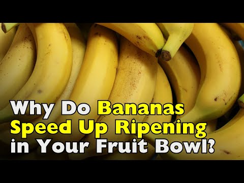 Why Bananas Speed Up Ripening in Your Fruit Bowl [ID1302]