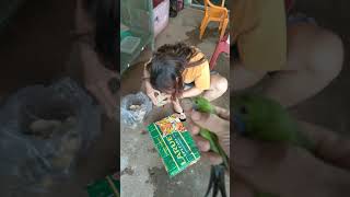 Download lagu chim thanh tước✓ cách phân biệt✓ trống, mái✓ chim bổi✓ chim chuyền mp3 Download lagu chim thanh tước✓ cách phân biệt✓ trống, mái✓ chim bổi✓ chim chuyền mp3