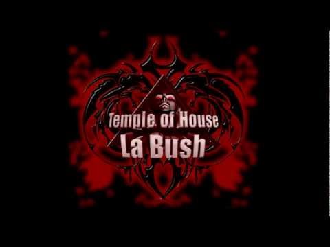 la bush temple of house - Dj Basik - Fuck This Shit (Remix).