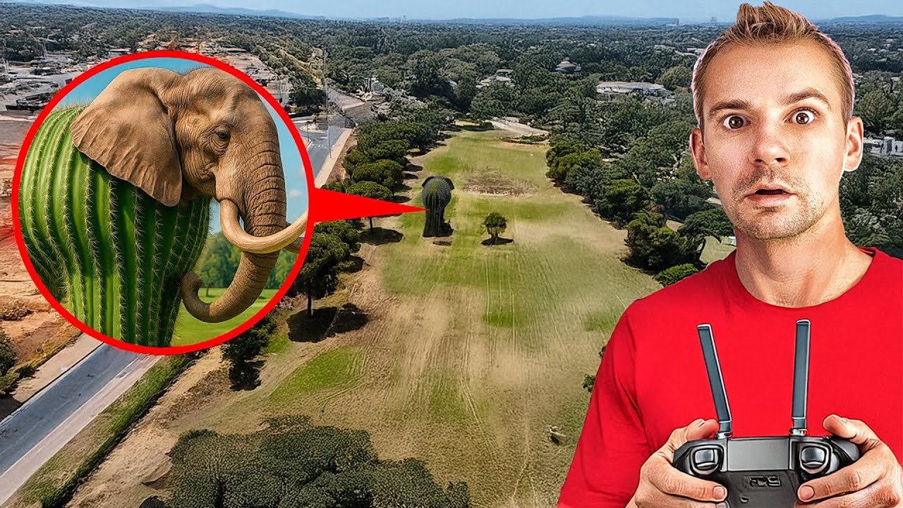 リリリ・ラリラとカクト・ヒポポタモが現実世界に現れた！ | アングリコシク