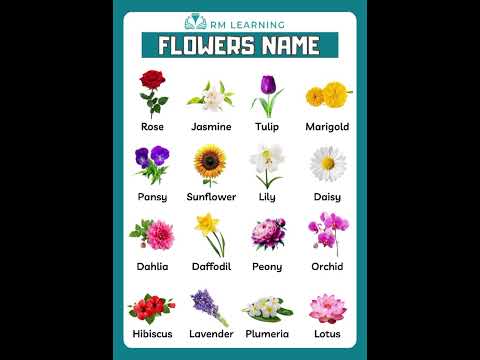 Flowers Name in English
