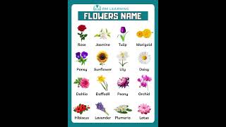 Download lagu Nama Bunga dalam Bahasa Inggris mp3 Download lagu Nama Bunga dalam Bahasa Inggris mp3