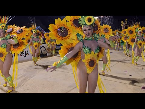 Vai Quem Quer @Desfile Escolas de Samba   Carnaval de Estarreja 2025