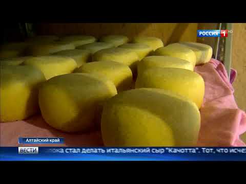 В Алтайском крае производят изысканные сыры и разводят форель В Алтайском крае производят изысканные сыры и разводят форель