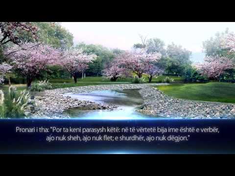 Si u martuan prindërit e Imam Ebu Hanifes (RA) ● Ngjarje e Bukur ᴴᴰ