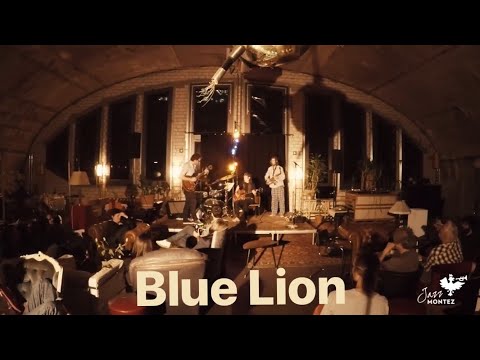 Blue Lion feat. Norbert Scholly - 'Somewhere in Between'