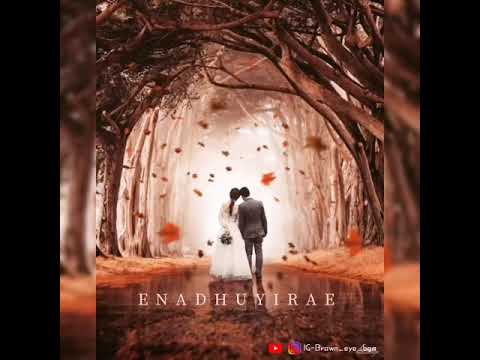 E N A D H U Y I R A E ❤️ Brown eye bgm 🔰 [Bheema] ¦¦ Vikram, thrisha¦¦ 😎
