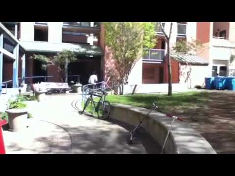 Best scooter Ollie eva!!!!!!