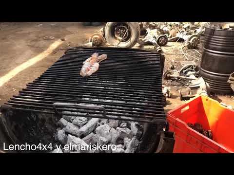 download lagu mp3 mp4 Camarones Asados, download lagu Camarones Asados gratis, unduh video klip Camarones Asados