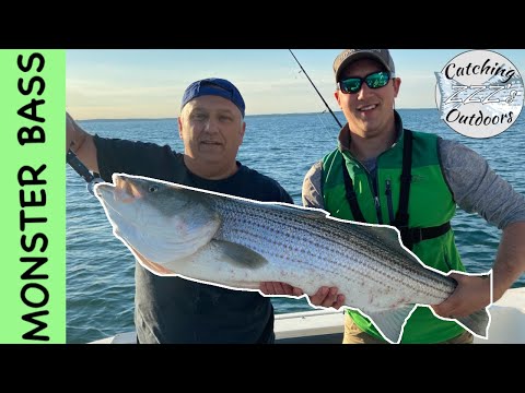 Cape Cod Fishing: MONSTER STRIPED BASS using LIVE EELS (S1 Ep.5)