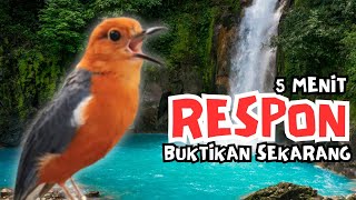 Download lagu MACETAN PASTI NYAUT | ANIS MERAH GACOR INI 100% JITU UNTUK PANCINGAN ANIS MERAH MACET BIAR BUNYI |27 mp3 Download lagu MACETAN PASTI NYAUT | ANIS MERAH GACOR INI 100% JITU UNTUK PANCINGAN ANIS MERAH MACET BIAR BUNYI |27 mp3