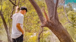 Download lagu Loba gaya insan aoi (cover) mp3
