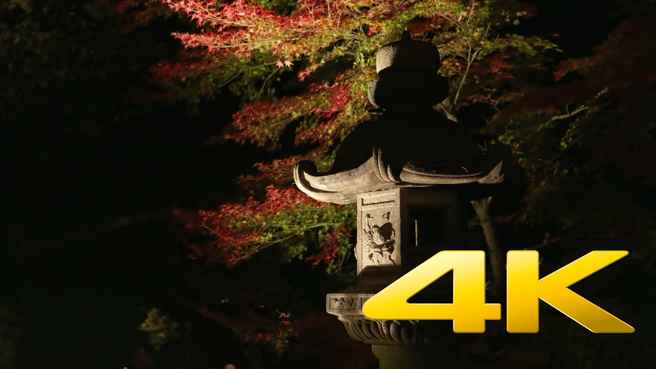 Rikugien Garden By Night - Tokyo