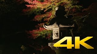 Rikugien Garden By Night video preview