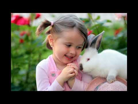 How to Be kind to Animals