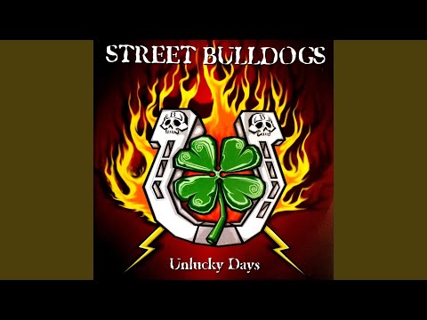 Padrão - Street Bulldogs