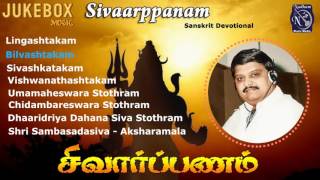 S.P.BALASUBRAMANYAM | LINGASHTAKAM |Shivaarpanam | T.K.PUKAZHENDI.