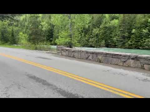 going to the sun road
