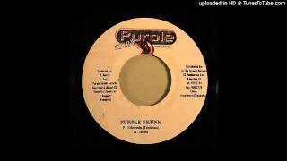 Dj Shakka - Purple Skunk Riddim Mix - 2003