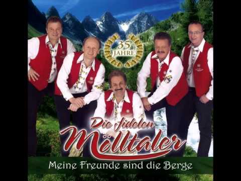 Die fidelen Mölltaler - Beim Musifest ( Instr.) ( 2006 )