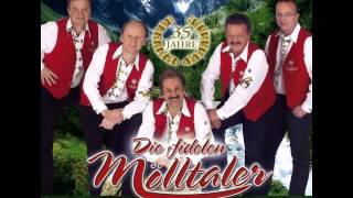 Die fidelen Mölltaler - Beim Musifest ( Instr.) ( 2006 )