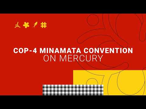 Bumper COP-4 Minamata Convention