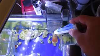 Re: [情報]微博上傳出某牌飲水機漏電