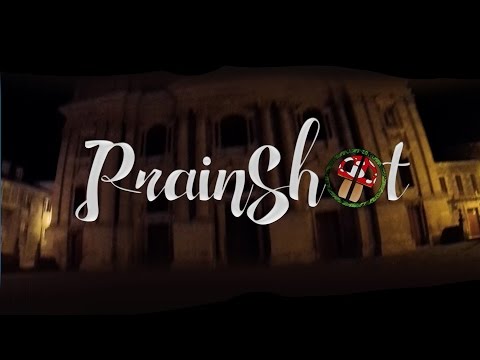 PRAINSHOT #004 - THEOLDNEWSCHOOL