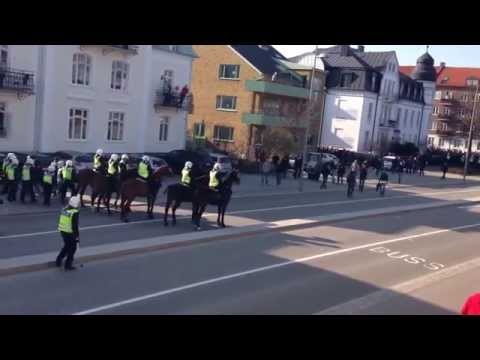 hooligans- Helsingborgs IF   Djurgårdens IF 2014 03 30