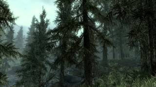 The Elder Scrolls V: Skyrim- Overworld Music