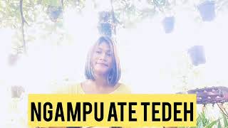Download lagu Ngapu ate tedeh cover Lita meliala mp3