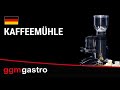 Commercial Coffee Grinder - Manual Doser – 2 kg Hopper – 356 W – Stainless