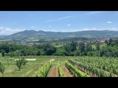 The Day After +38, Europe, Serbia, Sumadija, Orasac, Arandjelovac, Tarpos Vinery and Restaurant