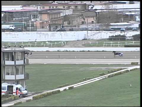 Trotto 30/11/2014 - 1° prova di riqualifica