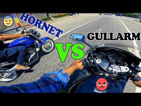 HORNET VS GULLARM