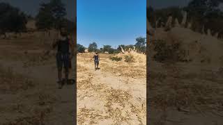 Download lagu Peter Dewa Moyo - Kurera Haizinyore video shoot mp3