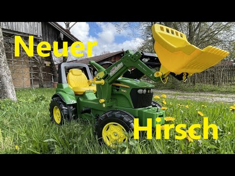 Ein neues Pferd im Stall