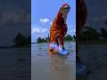 ️Jay Ganesha Deva Ganpati Bappa Morya Ganesh Ganpati Song Ganpati Visarjan Shorts Umeshwf