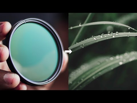 My 2 SECRETS for MOODY NATURE Photography