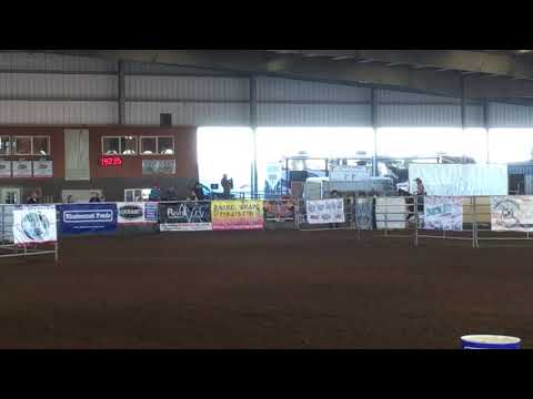 CP MINNY *First Place* NBHA BUSTIN OUT NEW YEARS FUTURITY 2017