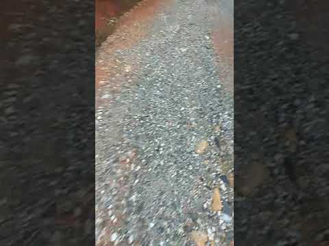 Run up and down to get flowers