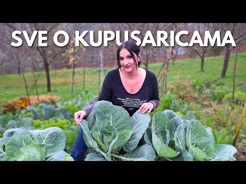 Guide For Growing BRASSICAS